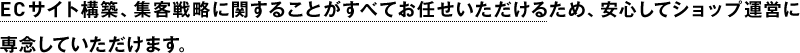 ECサイト構築、集客戦略に関することがすべてお任せいただけるため、安心してショップ運営に専念していただけます。