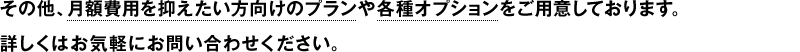 その他、月額費用を抑えたい方向けのプランや各種オプションをご用意しております。
詳しくはお気軽にお問い合わせください。